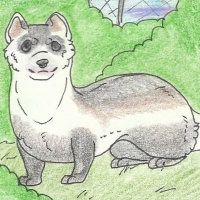 Thumbnail for ANI-936: Black-footed Ferret (M)