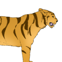 Thumbnail for ANI-958: Siberian Tiger (M)