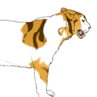 Thumbnail for ANI-959: Siberian Tiger (F)