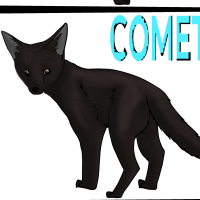 ANI-986: Melanistic Kit fox (F)