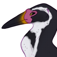 Thumbnail for ANI-1012: Humboldt Penguin (M)