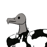 Thumbnail for ANI-1056: Black Vulture (F) Hollywood