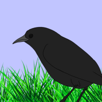 Thumbnail for ANI-1099: Melanistic Kākāwahie (M)