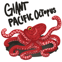 Thumbnail for ANI-1112: Octavia - Giant Pacific Octopus (F)