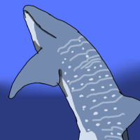 Thumbnail for ANI-1116: Whale Shark (F)