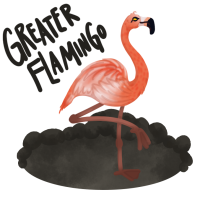 Thumbnail for ANI-1162: Fantasia - Greater Flamingo (F)