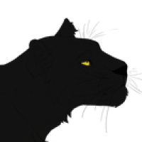 Thumbnail for ANI-1165: Melanistic Amur Leopard (M)