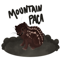 Thumbnail for ANI-1176: Packer - Mountain Paca (M)