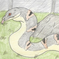 Thumbnail for ANI-1180: Titanoboa (M)