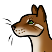 Thumbnail for ANI-1205: Asian Golden Cat (F)