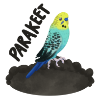 Thumbnail for ANI-1241: Boba - Parakeet (M)