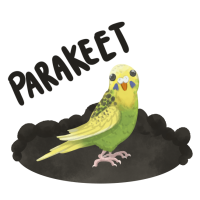 Thumbnail for ANI-1242: Honeydew - Parakeet (F)