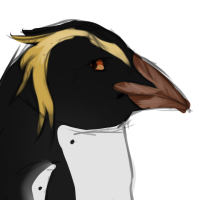 Thumbnail for ANI-1287: Rockhopper Penguin (F)