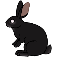 Thumbnail for ANI-1313: Rex Rabbit (M)