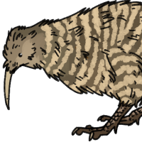 Thumbnail for ANI-1351: Greater Spotted Kiwi (F)