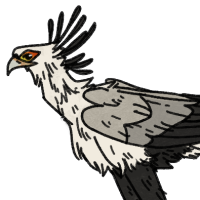 Thumbnail for ANI-1352: Secretary Bird (F)