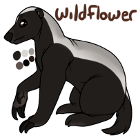 ANI-1403: Wildflower