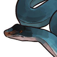 Thumbnail for ANI-1422: Blue Racer Snake (F)