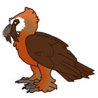 Thumbnail for ANI-1424: Chocolate Argentavis (M)