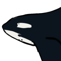 Thumbnail for ANI-1444: Killer Whale (M)