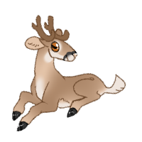 Thumbnail for ANI-1510: Oh Deer