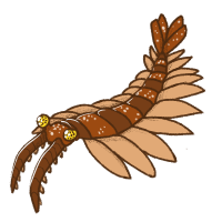 Thumbnail for ANI-1515: Chocolate Anomalocaris (F)