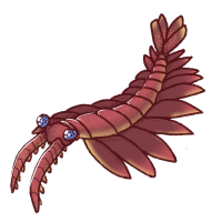 Thumbnail for ANI-1516: Anomalocaris (F)