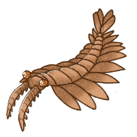 Thumbnail for ANI-1522: Chocolate Anomalocaris (F)