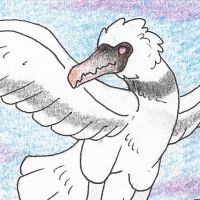 Thumbnail for ANI-1542: Pelagornis (F)