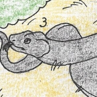 Thumbnail for ANI-1567: Melanistic Titanoboa (F)