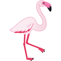 Thumbnail for ANI-1572: Greater Flamingo (F)