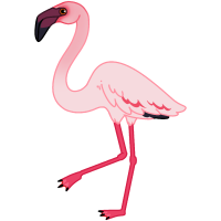 Thumbnail for ANI-1573: Lesser Flamingo (F)