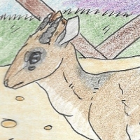 Thumbnail for ANI-1585: Kirk's Dik Dik (M)