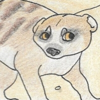 Thumbnail for ANI-1586: Meerkat (M)