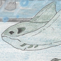 Thumbnail for ANI-1587: Cownose Ray (F)