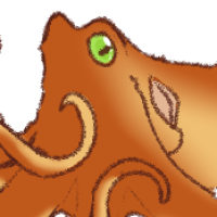 Thumbnail for ANI-1598:  Giant Pacific Octopus (M)