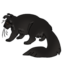 Thumbnail for ANI-1612: Binturong (F)