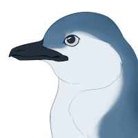 ANI-1648: Little blue penguin (M)