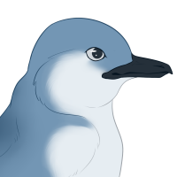 ANI-1649: Little blue penguin (F)