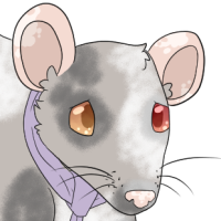 Thumbnail for ANI-1657: Patches - Fancy Rat (M)