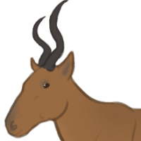 ANI-1694: Bubal Hartebeest (F)