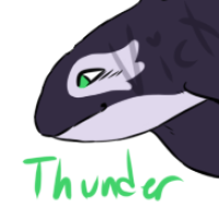 Thumbnail for ANI-1711: Thunder