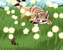 Submission thumbnail
