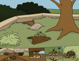 Submission thumbnail