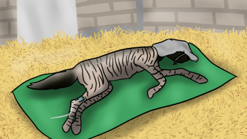 Submission thumbnail