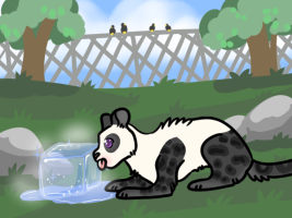 Submission thumbnail