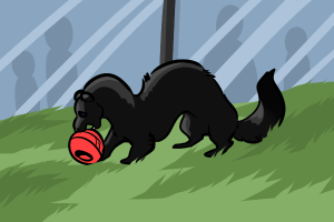 Submission thumbnail