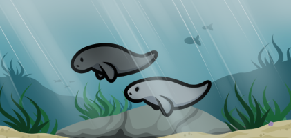 Submission thumbnail