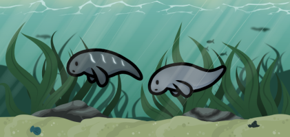 Submission thumbnail