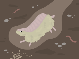 Submission thumbnail